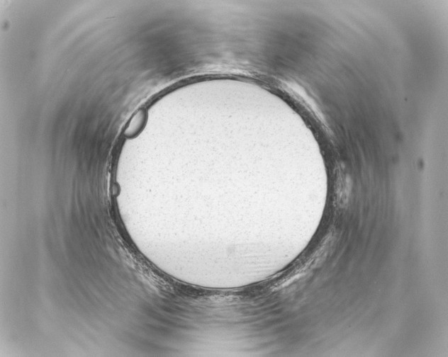 X0000087031268200705141913