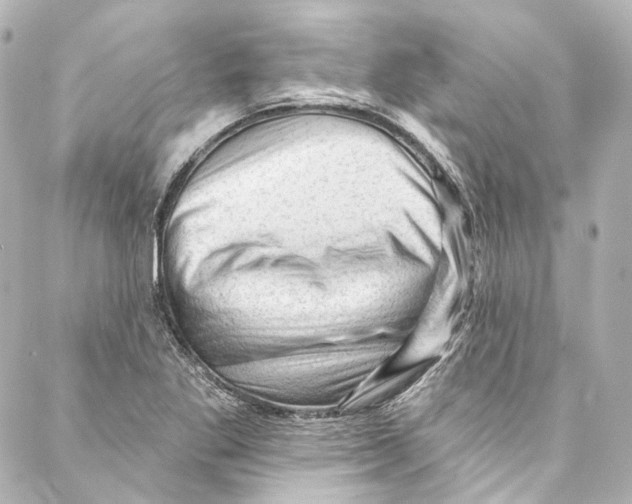 X0000087031269200705141913