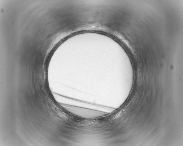 X0000087031270200705141913