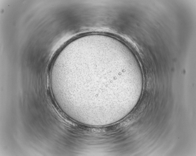 X0000087031271200705141913