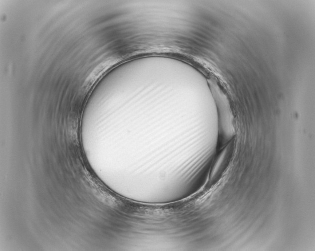 X0000087031273200705141913