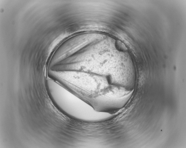 X0000087031275200705141913