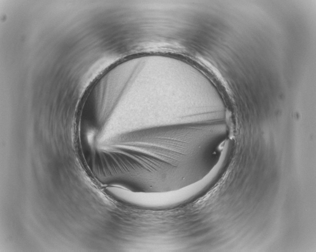 X0000087031277200705141913