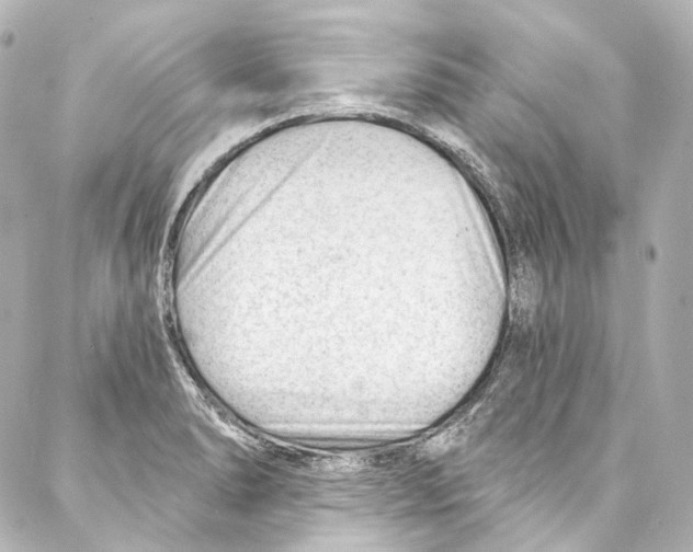 X0000087031278200705141913