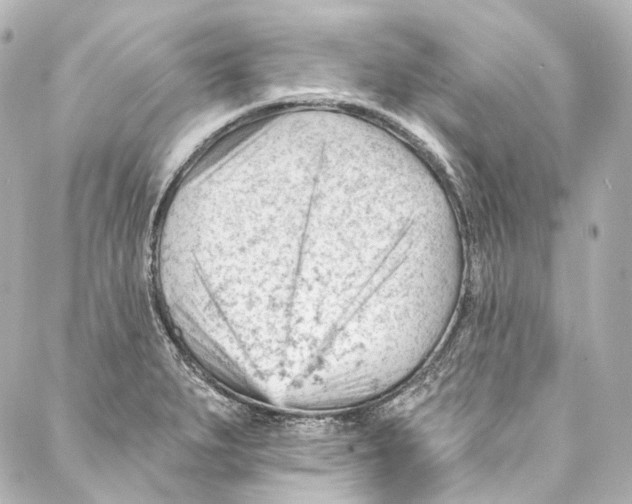 X0000087031279200705141913