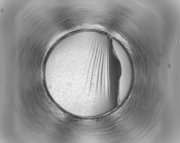 X0000087031280200705141913