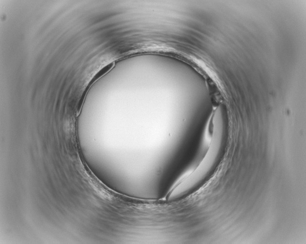 X0000087031281200705141913