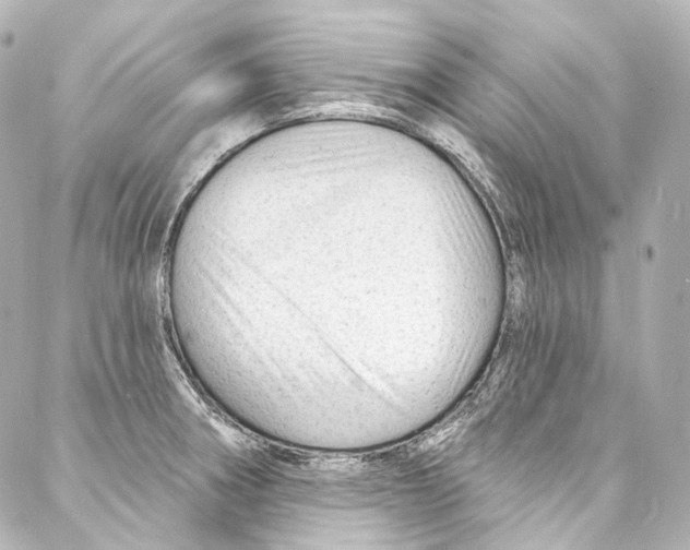 X0000087031282200705141913