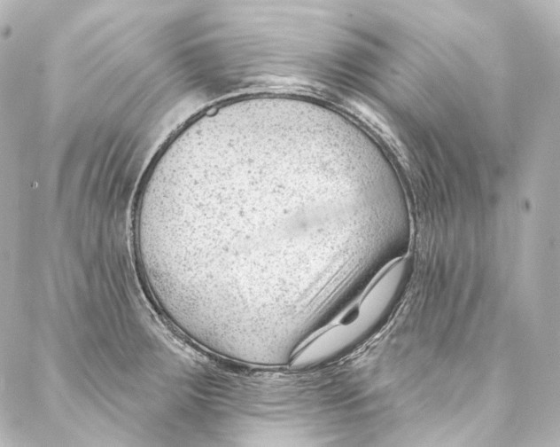 X0000087031283200705141913