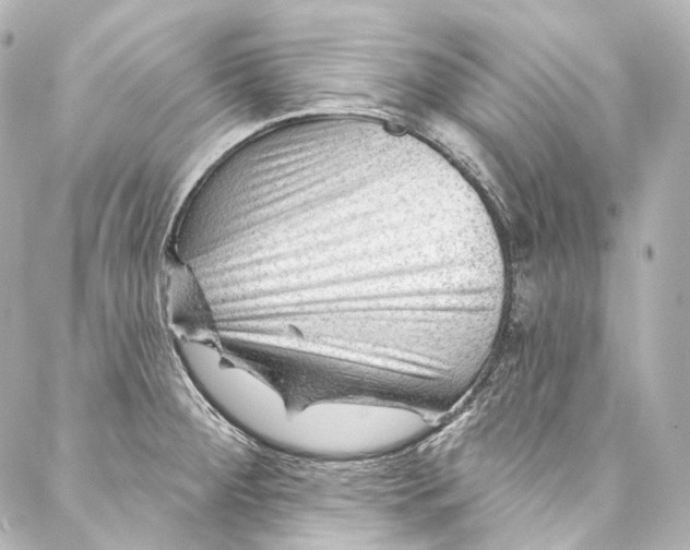 X0000087031284200705141913