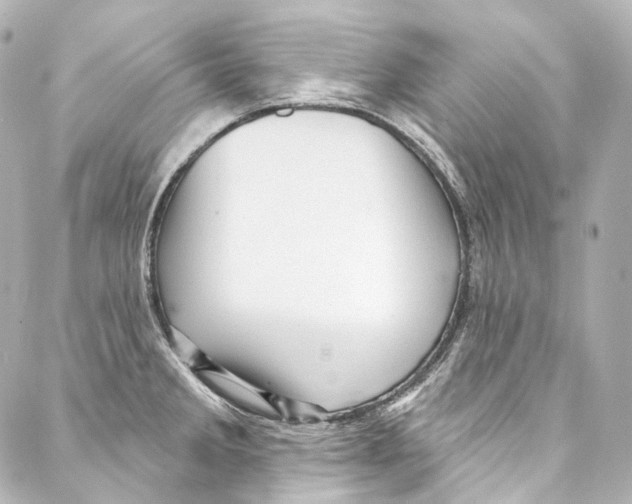 X0000087031285200705141913