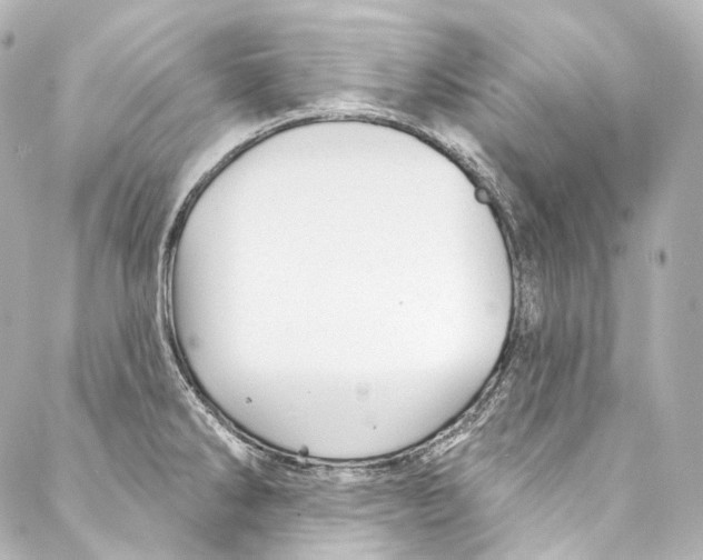 X0000087031286200705141913