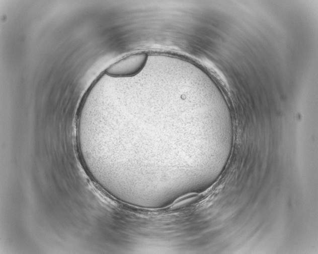 X0000087031287200705141913