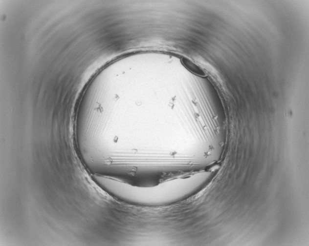 X0000087031288200705141913