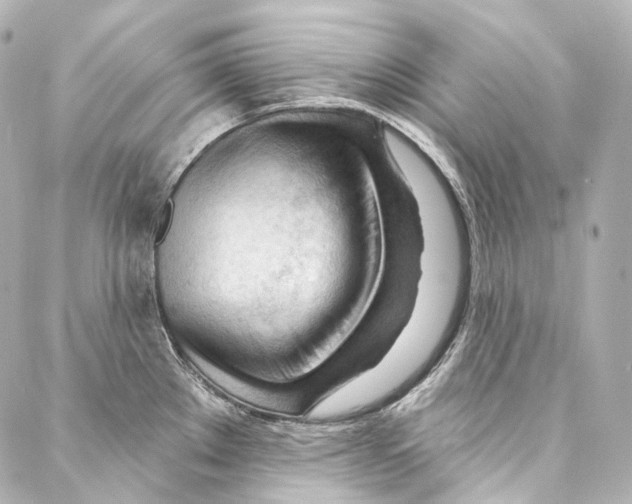 X0000087031289200705141913