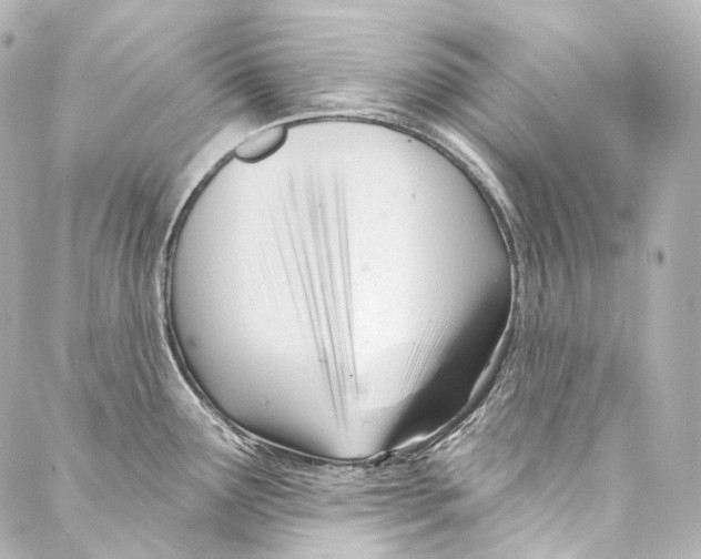 X0000087031291200705141913