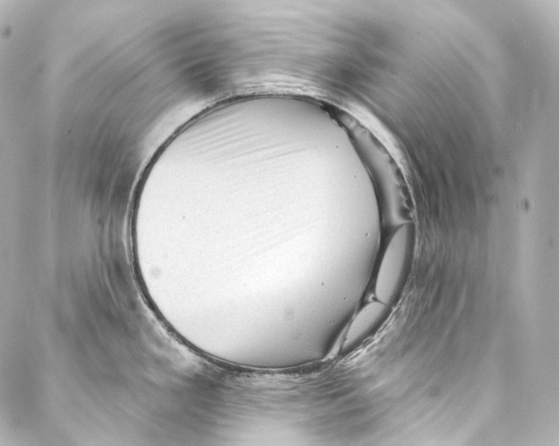 X0000087031293200705141913