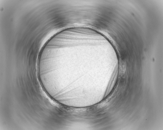 X0000087031294200705141912