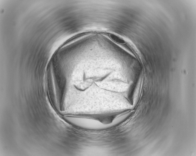 X0000087031295200705141912