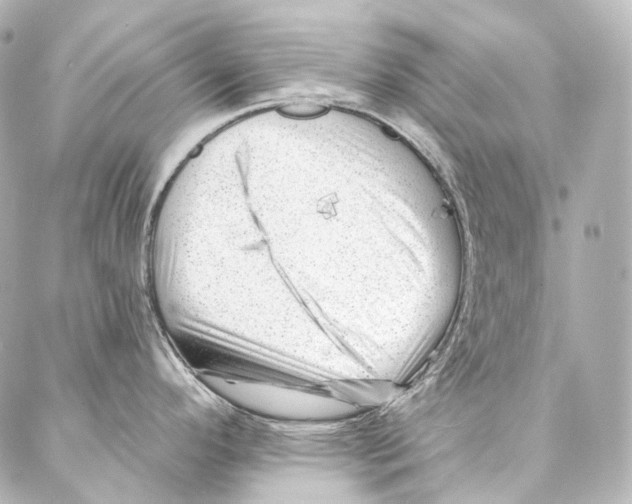 X0000087031296200705141912