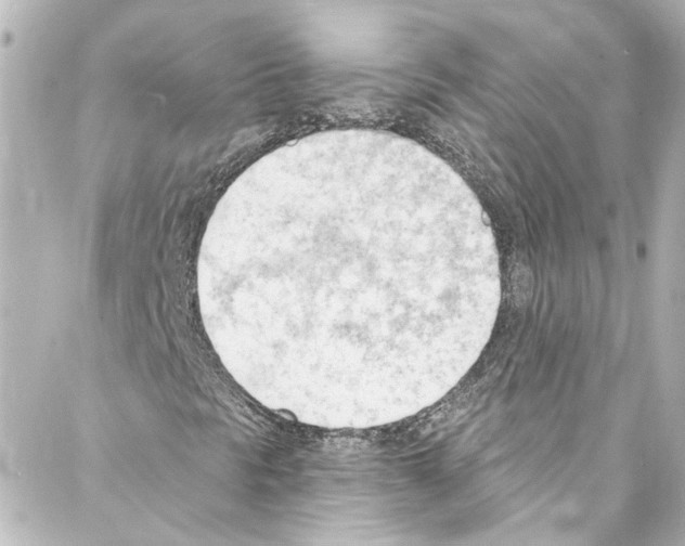 X0000087031297200705141912