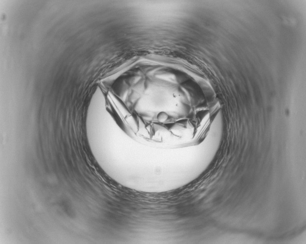 X0000087031298200705141912