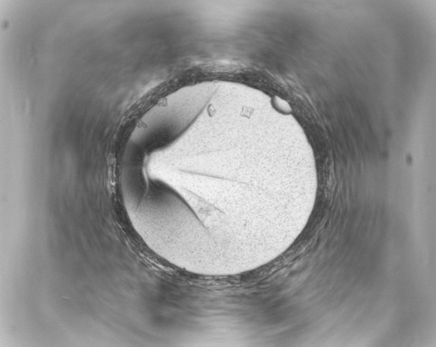 X0000087031301200705141912