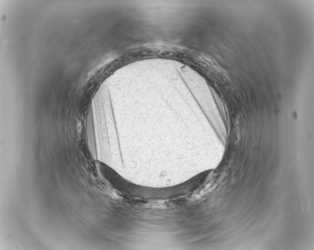 X0000087031302200705141912