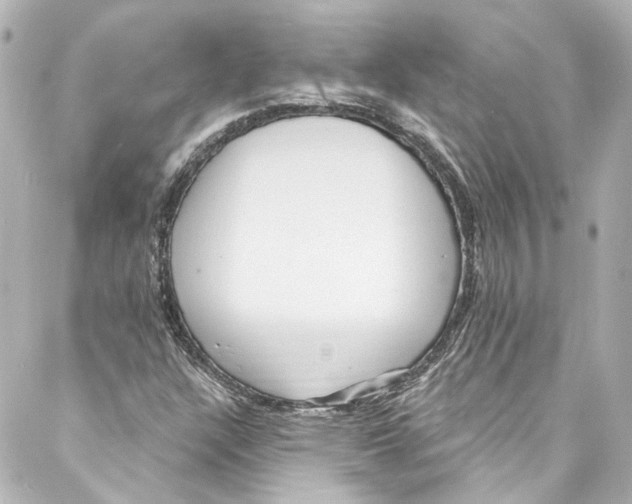 X0000087031304200705141912