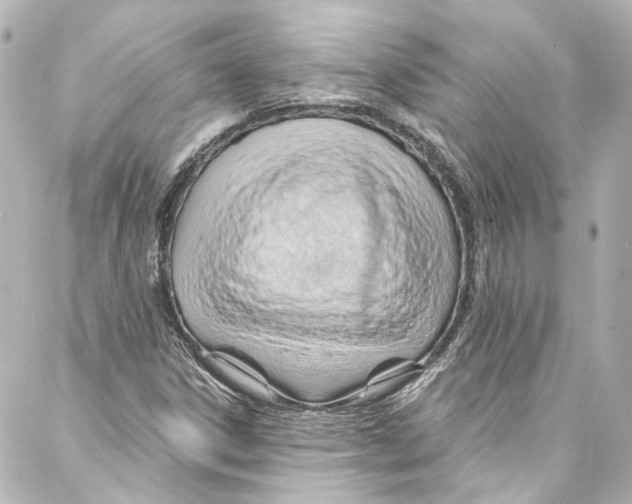 X0000087031306200705141912