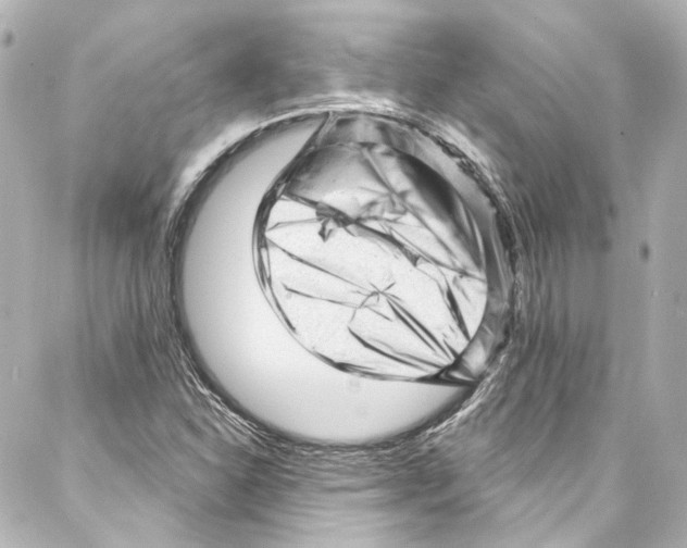 X0000087031310200705141912