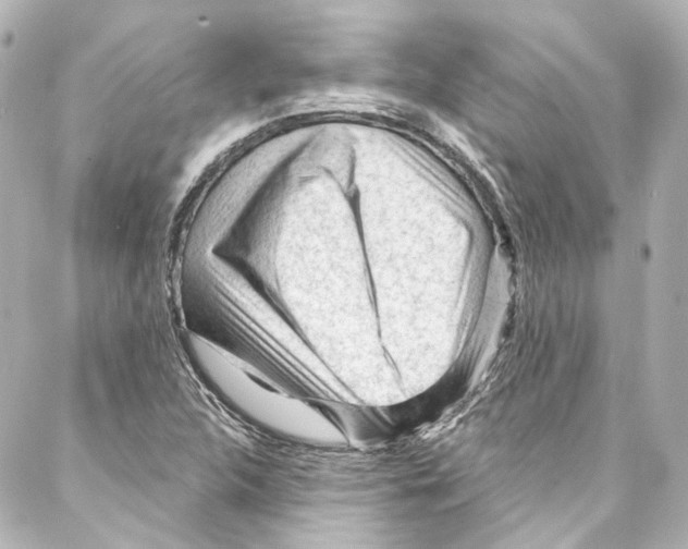 X0000087031312200705141912