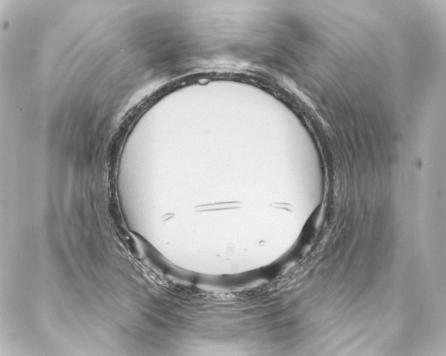 X0000087031315200705141912