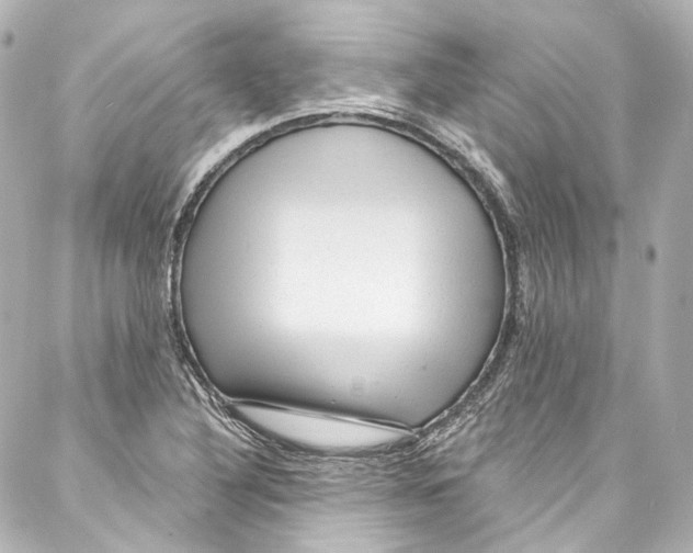 X0000087031316200705141912