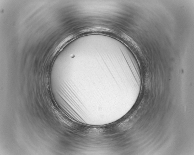 X0000087031321200705141912