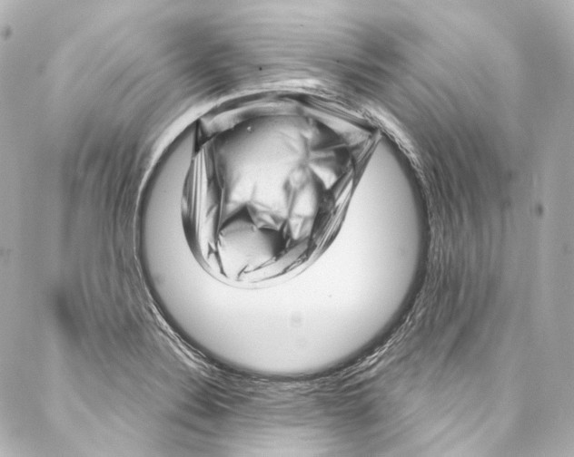 X0000087031324200705141912