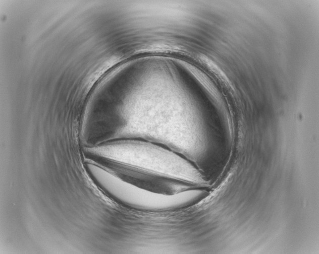 X0000087031329200705141912