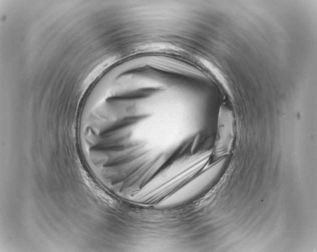 X0000087031330200705141912