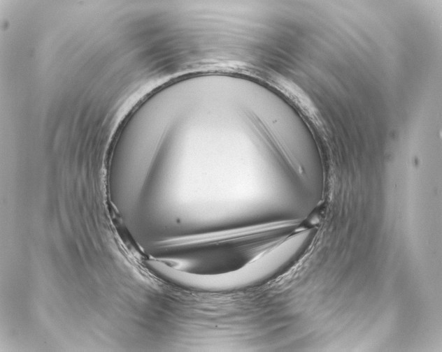 X0000087031332200705141912