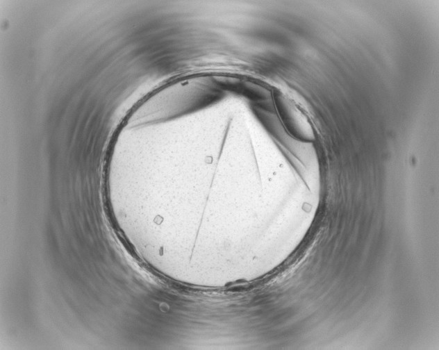 X0000087031333200705141912