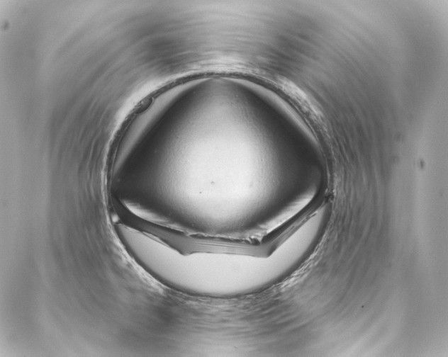 X0000087031334200705141912