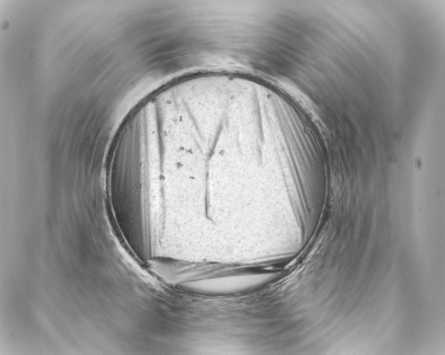 X0000087031335200705141912