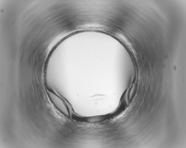 X0000087031336200705141912