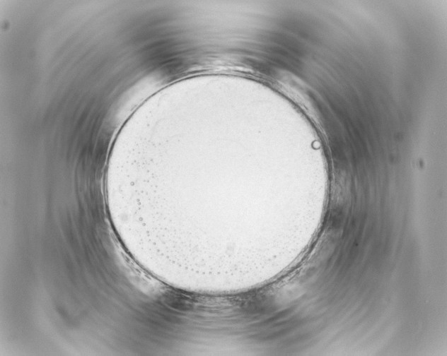 X0000087031338200705141912