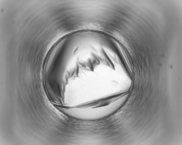 X0000087031339200705141912