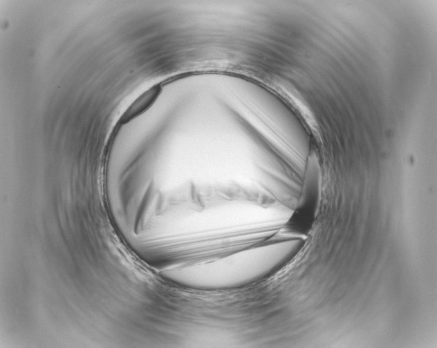 X0000087031340200705141912