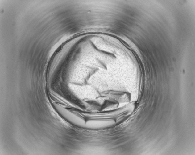 X0000087031341200705141912