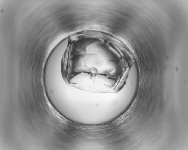 X0000087031342200705141912