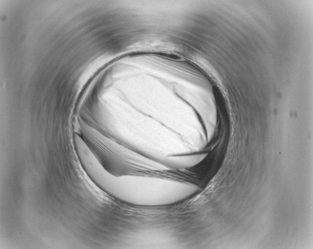 X0000087031344200705141912