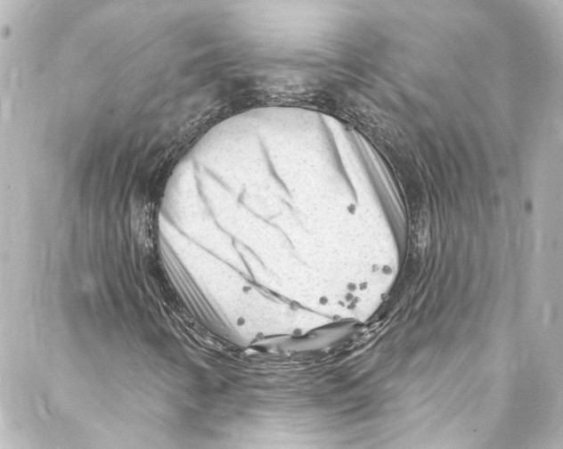 X0000087031346200705141912